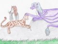 Drag, Elvi, Grey.jpg